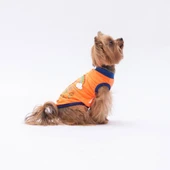 PawStar Neon Turuncu Be Kind T-Shirt Küçük Irk thumbnail 3