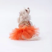 PawStar Bej Girl Power Elbise - 1