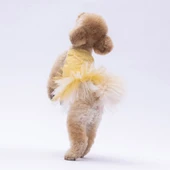 PawStar Sarı Polka-Dot Elbise - 2