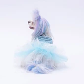 PawStar  Mavi Polka-Dot Elbise - 3