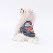 PawStar Lacivert The Sun T-Shirt Küçük Irk thumbnail 1