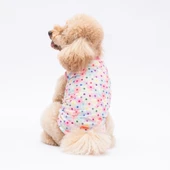 PawStar Spring Flowers T-Shirt Küçük Irk - 1
