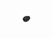 Gıda Rekoru Dişi Körtapa 10mm - 1