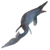 PNSO Deniz Müzesi-Jeff The KRONOSAURUS - 1