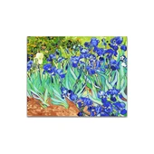 Hobi Mor Çiçekler Numaralı Tuval 40X50CM - 1