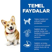 Hill's SCIENCE PLAN Kuzulu ve Pirinçli Küçük ve Mini Irk Yetişkin Köpek Maması 6Kg - 3