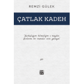 Çatlak Kadeh - Remzi Gülek - 1