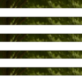 Ihlamur Yaprağı 50g thumbnail 2