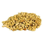 Doğal Dolmalık Fıstık Helvalık Yer Fıstığı 1.Kalite 100GR - 1
