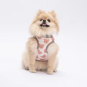 PawStar Cute Bears T-Shirt Küçük Irk - 3