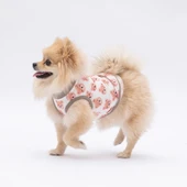 PawStar Cute Bears T-Shirt Küçük Irk - 1