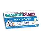 HÜNNAP VENTON VIT ASSIST GUM B1 & C VİTAMİN  KSİLİTOL/DENTAL 27 GR thumbnail 2