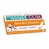 HÜNNAP VENTON VIT ASSIST GUM B6 & B12 VİTAMİN  GUARANA-GINSENG 27GR thumbnail 1