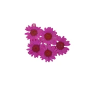 Preslenmiş Kurutulmuş Papatya Çiçek Bitkiler Epoksi Reçine Kolye Takı Papımı (100 Adet) Pembe - 1