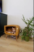 Kedi Evi Ahşap Retro TV Dekoratif Kedi Evi İç Mekan Kediler için - 1