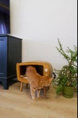 Kedi Evi Ahşap Retro TV Dekoratif Kedi Evi İç Mekan Kediler için - 4