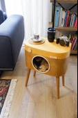 Dekoratif Fotoğraf Makinesi Ahşap Sehpa ( Köşe Sehpa ) - 2