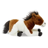 Floppy At 36 cm thumbnail 2