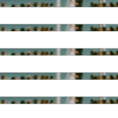 Kına RGS Hint Kınası 100g thumbnail 2