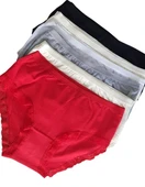 Tutku 12' li Bayan IŞIK Bato Bikini Külot 0948 - 3