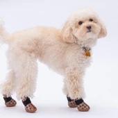 PawStar  Bears Köpek Ayakkabısı - 2