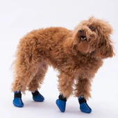PawStar  Mavi Köpek Ayakkabısı - 3
