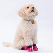 PawStar  Fuşya Köpek Ayakkabısı - 2