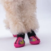 PawStar  Rosea Camouflage Köpek Ayakkabısı - 5