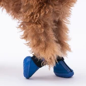 PawStar  Mavi Köpek Ayakkabısı - 2