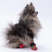 PawStar  Ducks Köpek Ayakkabısı - 2