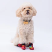 PawStar  Peru Köpek Ayakkabısı - 2