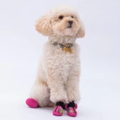 PawStar  Rosea Camouflage Köpek Ayakkabısı - 4