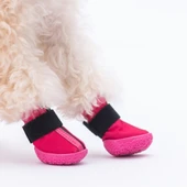 PawStar  Fuşya Köpek Ayakkabısı - 5