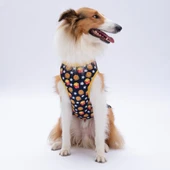 PawStar Star Hamburger T-Shirt Büyük Irk thumbnail 3