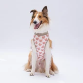 PawStar Cute Bears T-Shirt Büyük Irk - 1