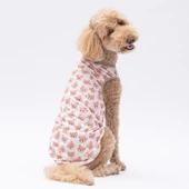 PawStar Cute Bears T-Shirt Büyük Irk - 2