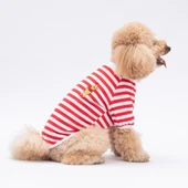 PawStar Kırmızı Winnie Küçük Irk Sweat - 3