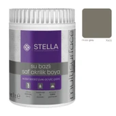 Stella Su Bazlı Saf Akrilik Boya Moss Grey Ral-7003 - 1