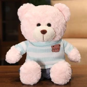 Elbiseli Oyuncak Ayıcık 40cm - Pembe Ayı Pembe Elbise - 6