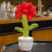 Şanslı Para Çiçek Peluş Oyuncak - Renkli Kutu - 40cm - 9