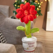 Şanslı Para Çiçek Peluş Oyuncak - Renkli Kutu - 40cm - 6