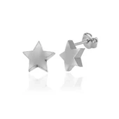 Gümüş Yıldız Çivili Kadın Küpe thumbnail 1