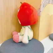 40cm Bebek için Armut Çorap, Üst ve Şapka Peluş Kıyafet Seti - 4