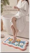 Emici Banyo Paspası - 40x60 cm - Dai Lan Rüyası - 10
