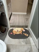 Çizgili Desenli Diatomit Banyo Paspası - 50x80cm Miyav Çizgili Oval - 7