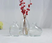 Mini Hidroponik Cam Vazo - Zen Şeffaf Üçlü Set - 1