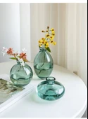 Mini Hidroponik Cam Vazo - Zen Amber Üçlü Set - 9