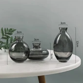 Mini Hidroponik Cam Vazo - Şeffaf Üçlü Set - 6