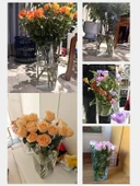 Taşınabilir Yuvarlak Şeffaf Çiçek Kovası Orta 1 - Büyük thumbnail 3