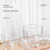 Minimalist Kare Cam Kaplumbağa Saksı - Kare 12*12cm (Kalınlaştırılmış) 2'li Paket - 5